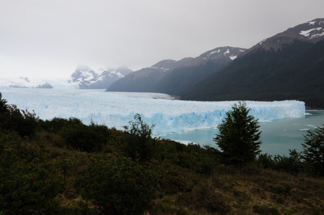 perito moreno 239 perito moreno 239