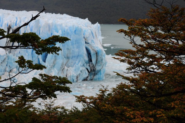 perito moreno 353