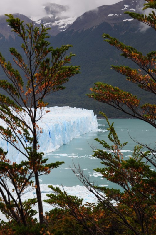 perito moreno 395