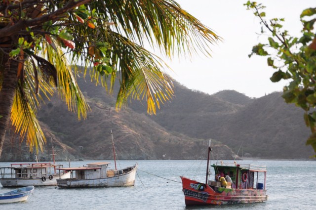 carthagene022012 411 carthagene022012 411