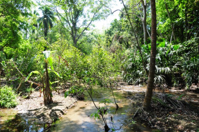 carthagene022012 432