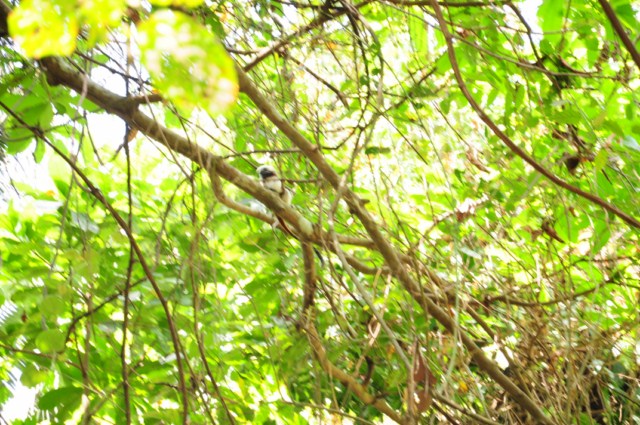 carthagene022012 439