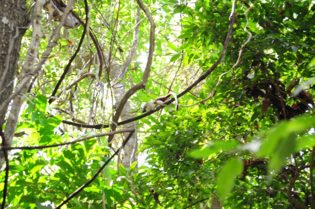 carthagene022012 449