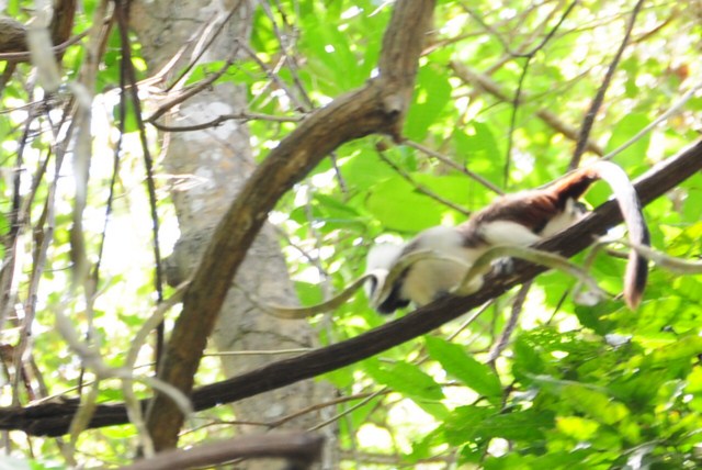 carthagene022012 450