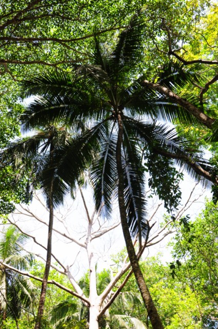 carthagene022012 459