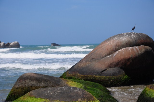 carthagene022012 511