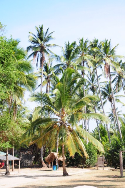 carthagene022012 538