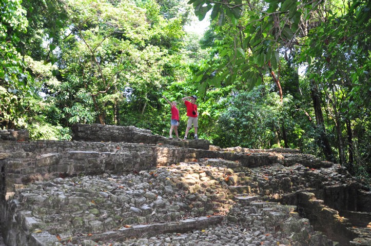 palenque 203