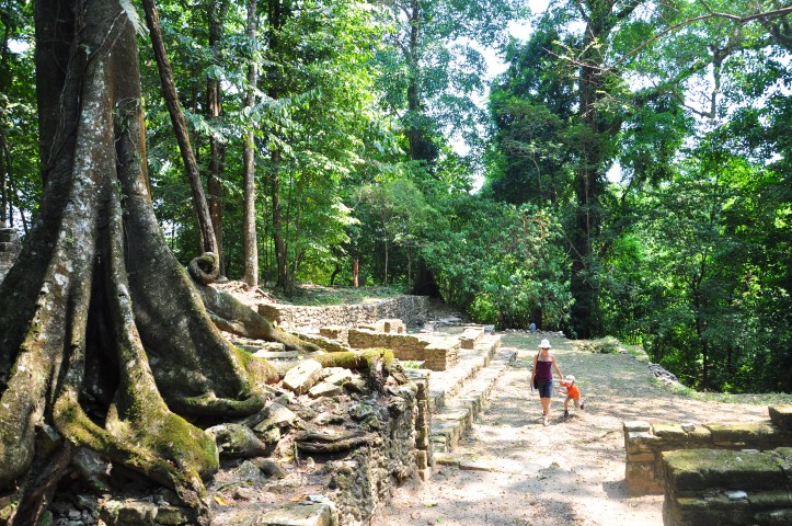 palenque 264