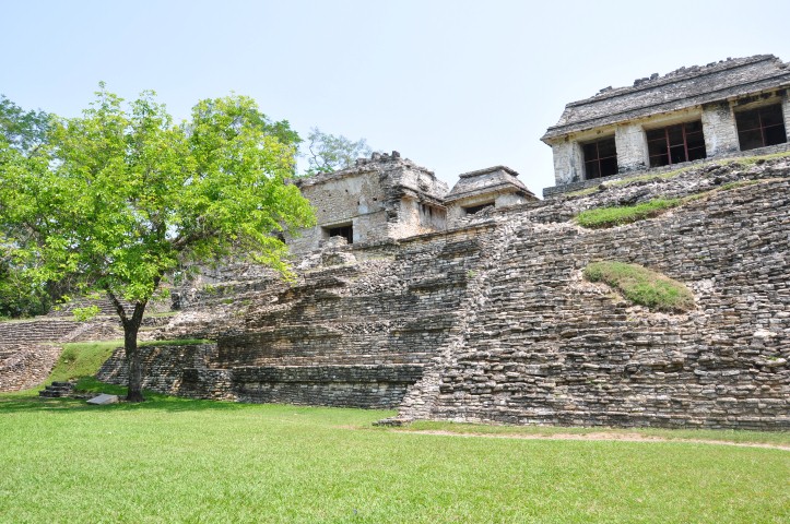 palenque 270