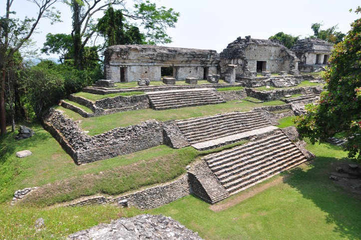 palenque 293
