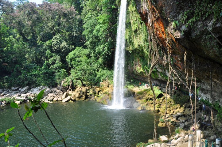 palenque 385 palenque 385
