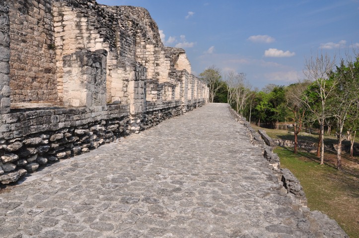 calakmul 070 calakmul 070