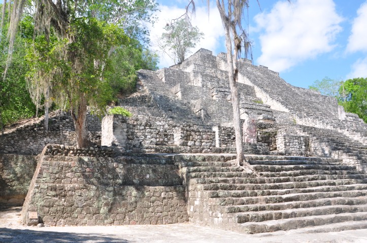 calakmul 196