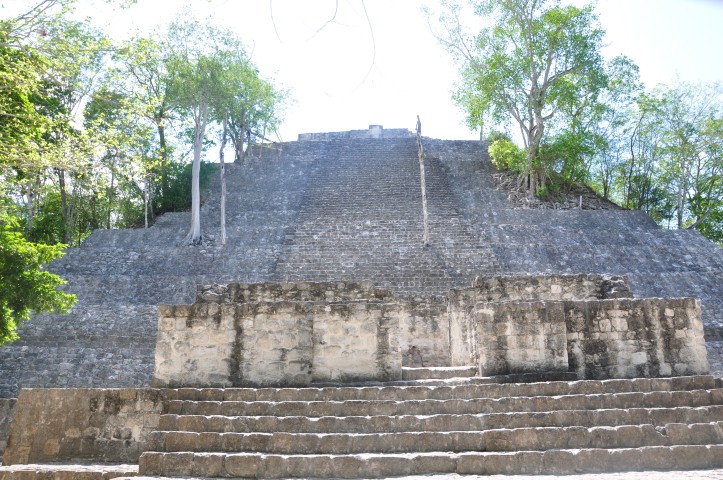 calakmul 203