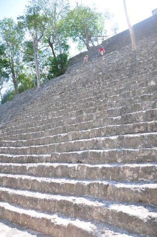 calakmul 209