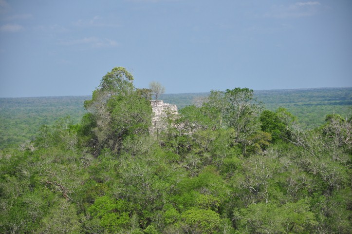 calakmul 215