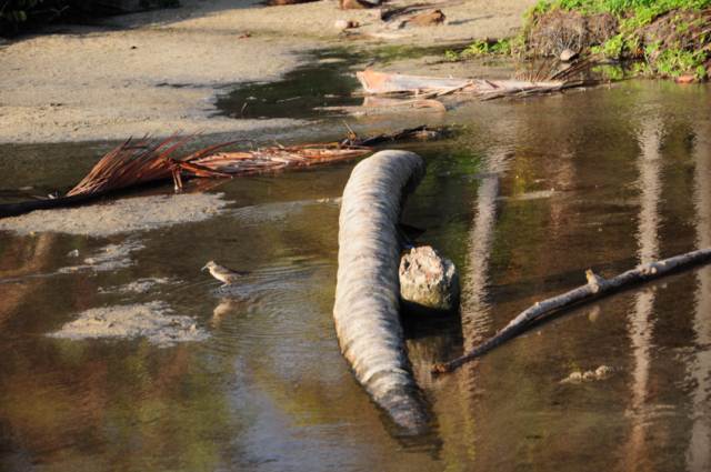 carthagene022012 611