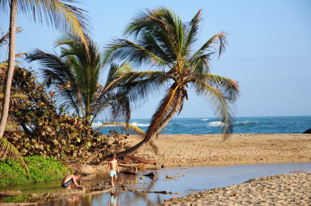 carthagene022012 614 carthagene022012 614