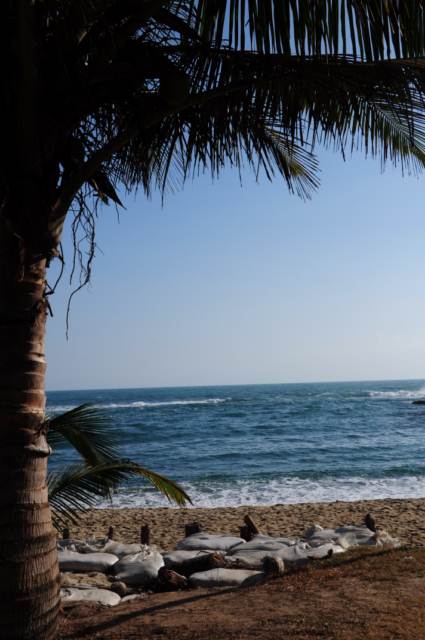 carthagene022012 623 carthagene022012 623