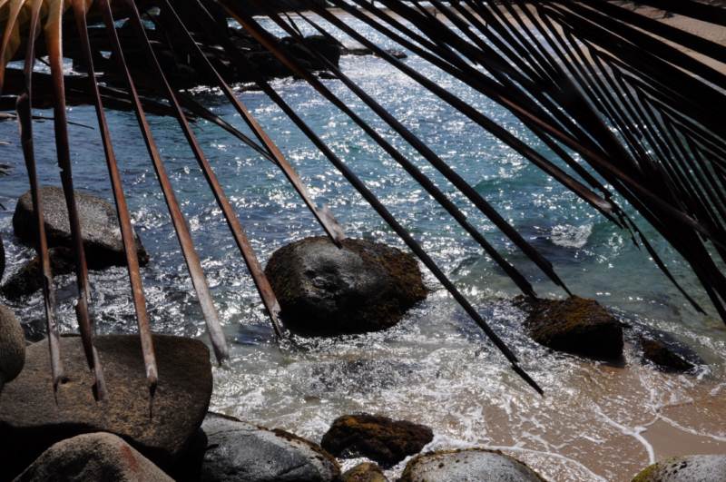 carthagene022012 647 carthagene022012 647