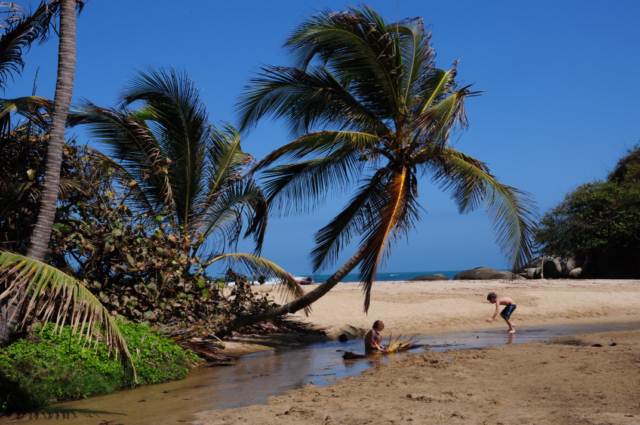 carthagene022012 654 carthagene022012 654