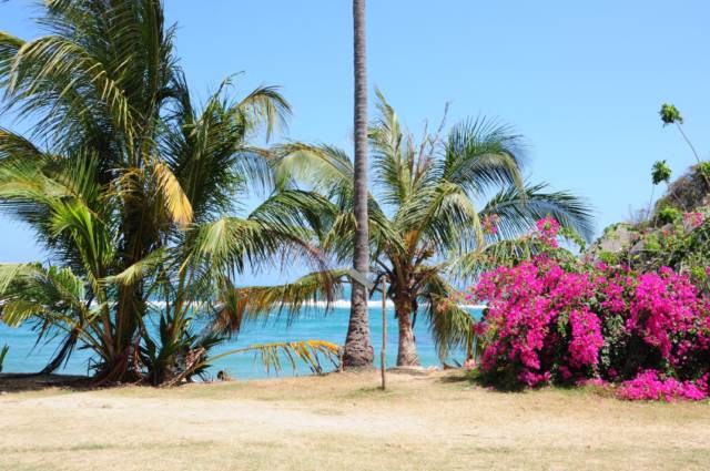 carthagene022012 666