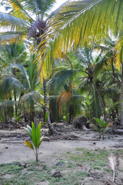 carthagene022012 696 carthagene022012 696