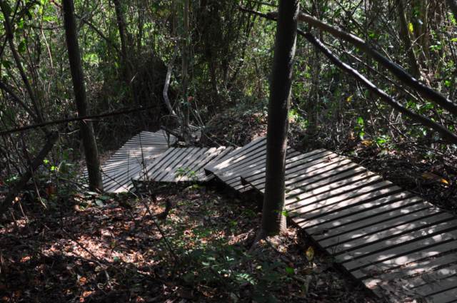 carthagene022012 717 carthagene022012 717