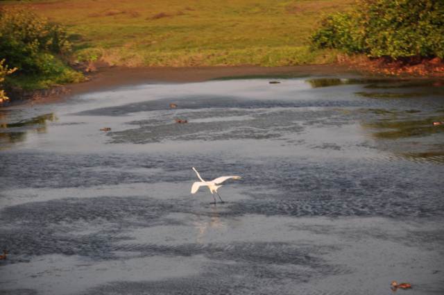 carthagene022012 719 carthagene022012 719