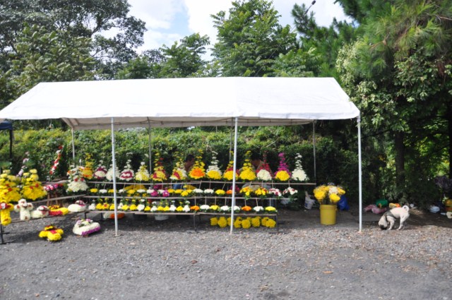 carthagene022012 728 carthagene022012 728