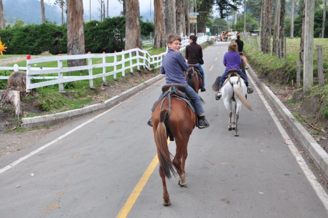 carthagene022012 792 carthagene022012 792