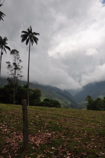 carthagene022012 793 carthagene022012 793