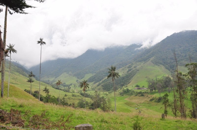 carthagene022012 801 carthagene022012 801