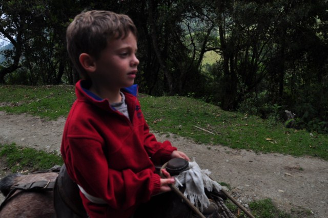 carthagene022012 813 carthagene022012 813