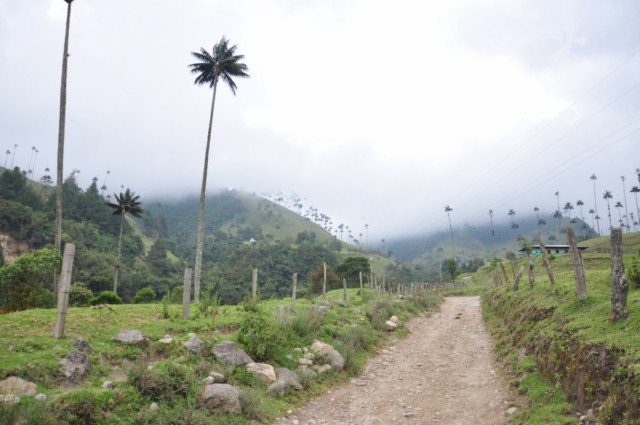 carthagene022012 821 carthagene022012 821