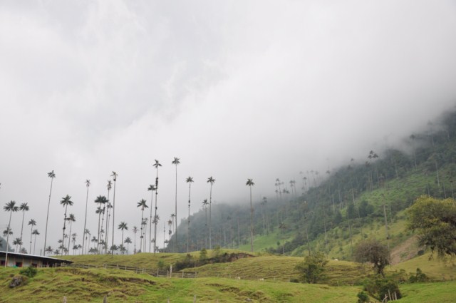 carthagene022012 827 carthagene022012 827