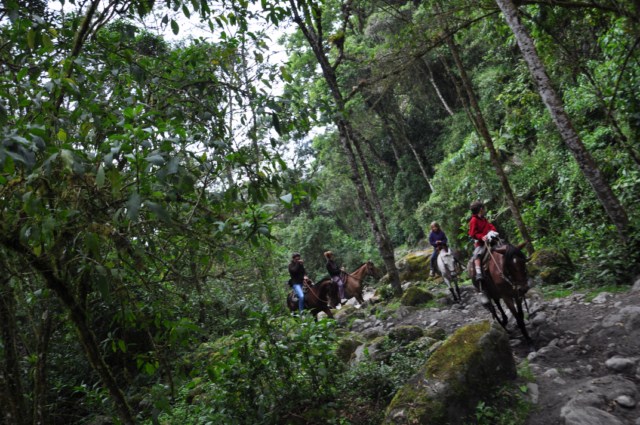 carthagene022012 840 carthagene022012 840