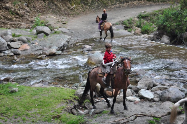 carthagene022012 854 carthagene022012 854