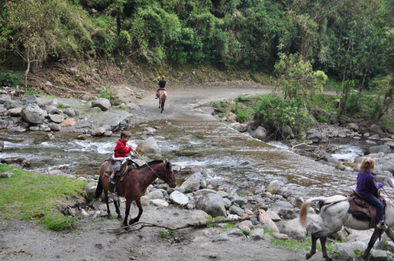 carthagene022012 856 carthagene022012 856