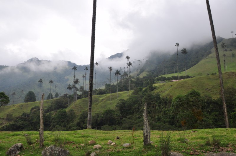 carthagene022012 865 carthagene022012 865