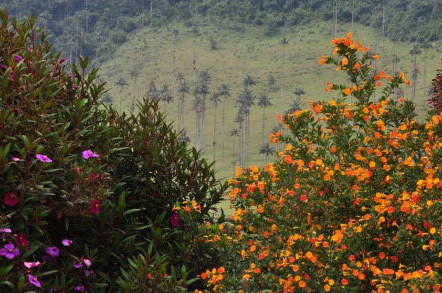 carthagene022012 881 carthagene022012 881