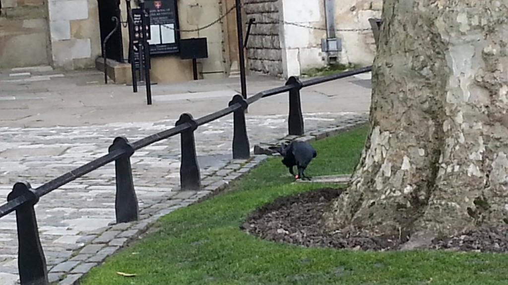 20150224_143801 20150224_143801