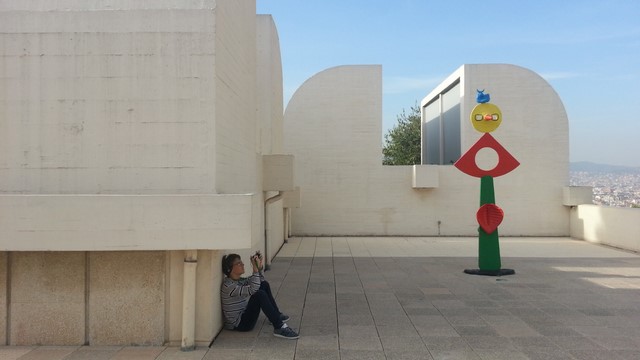 20141021_165114 (Copier)