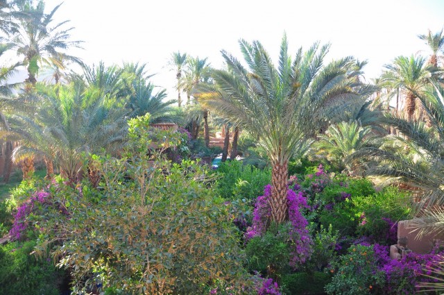 Maroc suite 183 Maroc suite 183