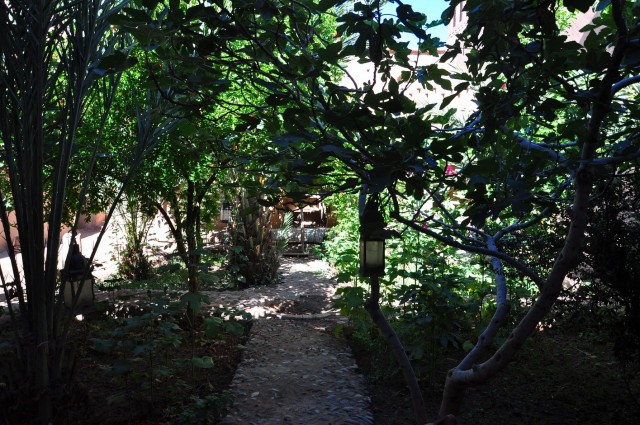 maroc fin 264 maroc fin 264