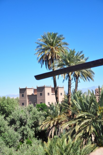 maroc fin 309 maroc fin 309