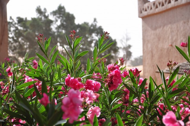 maroc3 001 maroc3 001