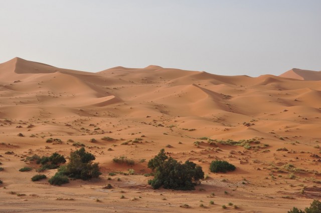 maroc3 072 maroc3 072