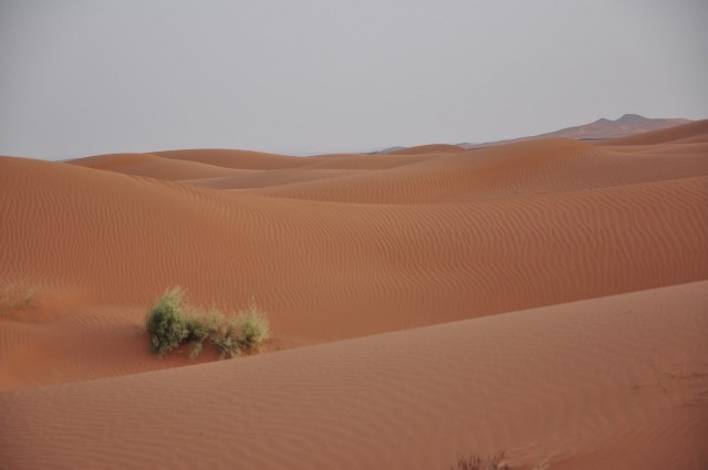 maroc3 094 maroc3 094